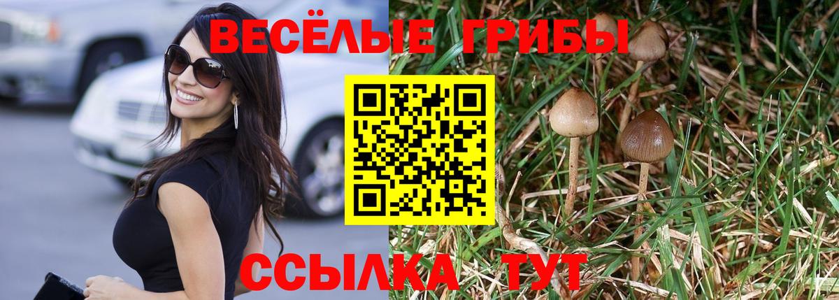 Анжеро-Судженск  Псилоцибиновые грибы GOLDEN TEACHER  Вход с VPN 