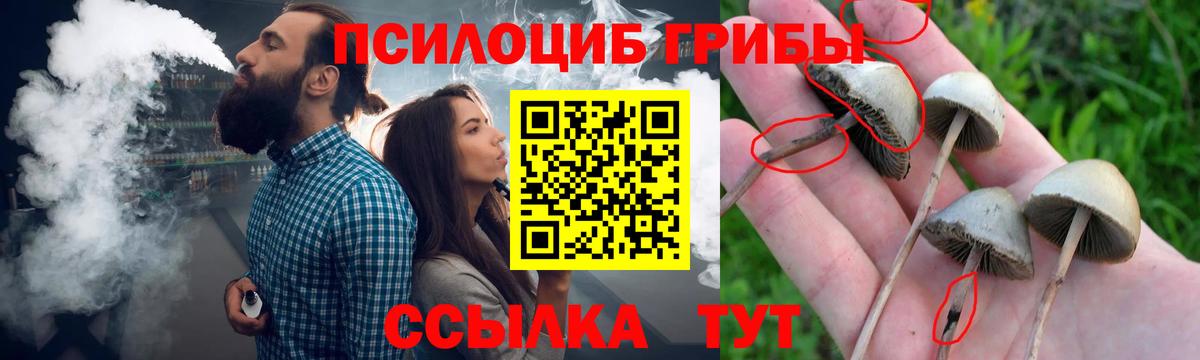 Галлюциногенные грибы прущие грибы Анжеро-Судженск